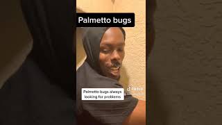 One of Floridians biggest fears palmetto bugs [upl. by Eatnoid]