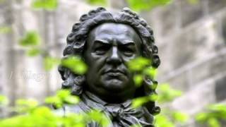 Bach  Brandenburg Concerto No 1 In F Major BWV 1046 [upl. by Naik]