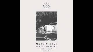 Marvin Gaye  Sexual Healing Kygo Remix Vesak Edit [upl. by Jarlathus]