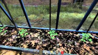 planter des tomates dans Dayz standalone [upl. by Cash]