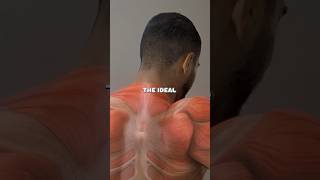 Zuniga on 5 Exercises To Boost Testosterone Naturally🤫🧬 [upl. by Flyn158]