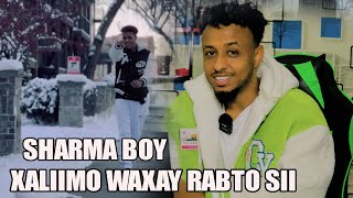 SHARMA BOY  XALIIMO WAXAY RABTO SII  TAN HEES WEY DHAAFTAY  REACTION BY HASSAN SOYA [upl. by Elbon]