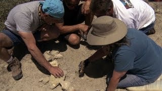 Giant Megalodon Tooth  Sharkzilla  Shark Week 2012 [upl. by Caria]