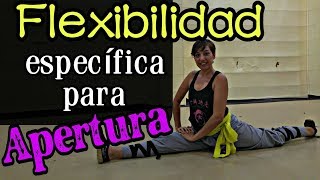 FLEXIBILIDAD para PIERNAS Artes Marciales RUTINA DE CLASE [upl. by Eugirne]