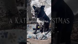 WindyGirk Mery christmas coming soon⭐️🎄💕‼️ WindyGirk katlispi youtubeshorts WindyGirkTV [upl. by Nyvrem365]