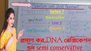 L7Meselson and Stahl experiment in BengaliProve DNA replication is semi ConservativeNCERTWBCHSE [upl. by Irvin575]