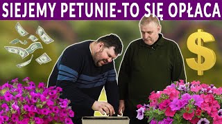 Skutecznie siejemy petunie To się opłaca [upl. by Whale717]