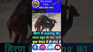 Deer 🦌 बारे में रोचक तथ्य 🥶ytshort viral fact animals trending shortfeed [upl. by Imailiv841]