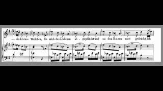 Das Veilchen  Mozart  High Key G  Accompaniment [upl. by Blanding]