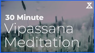 30 Minute Guided Vipassana Meditation [upl. by Gnohc]