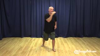 Common Mistakes When Practicing Tai Chi [upl. by Goddord]