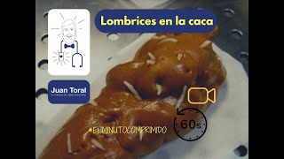 Lombrices en la caca  ⏱️💊 𝔼𝕝 𝕄𝕚𝕟𝕦𝕥𝕠 ℂ𝕠𝕞𝕡𝕣𝕚𝕞𝕚𝕕𝕠 17 ⏱️💊 [upl. by Relyk216]