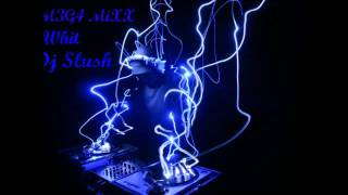 MEGA MIX Dj Slush [upl. by Vories137]