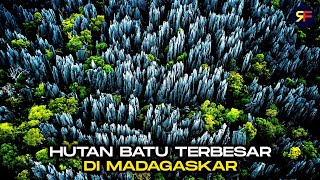 TSINGY DE BEMARAHA  HUTAN BATU TERBESAR DI MADAGASKAR [upl. by Acey]