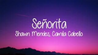 Shawn Mendes Camila Cabello  Señorita with Lyrics [upl. by Roze]