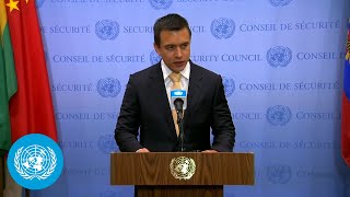 Ecuador on Transnational Organized Crime amp Other Topics  Media Stakeout  UN Security Council [upl. by Aivonas]