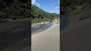 Bethells Beach Sand Dunes [upl. by Piefer]