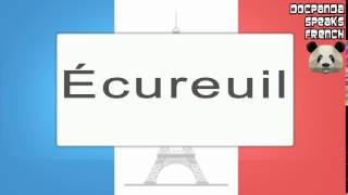 Écureuil  How To Pronounce  French Native Speaker [upl. by Winnah]