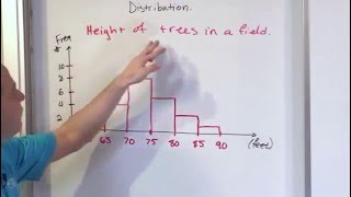 Lesson 8  What is a Histogram in Statistics [upl. by Batruk831]