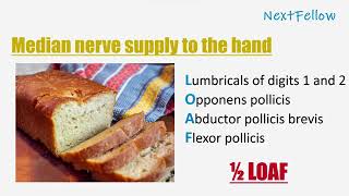 Mnemonics of median nerve supply to the hand concept for neetpg Inicet Fmge Next mbbs and nextfellow [upl. by Ael843]