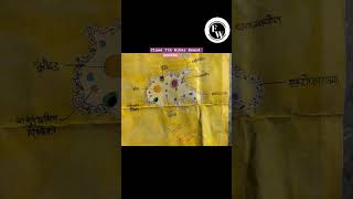 Science Class 7th Amoeba 🦠 shortsfeed viralvideo trending trendingshorts viralshorts short [upl. by Dat701]