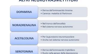 7 Neurotrasmettitori e recettori [upl. by Crandale957]