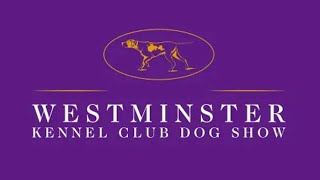 LIVE NYC 2024 Westminster Kennel Club Dog ShowMorning Session [upl. by Einnaf]