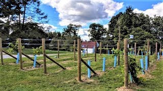 Starting a Backyard Vineyard [upl. by Jamison97]