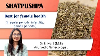 शतपुष्पा  वरदान है ये औषधि महिलाओं के लिए ayurveda infertility [upl. by Letsirhc]