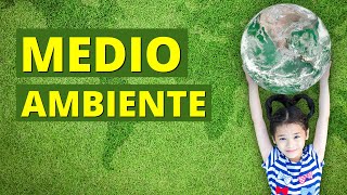 ¿Qué es el MEDIO AMBIENTE y cómo cuidarlo Características e importancia 🌳 [upl. by Hitoshi746]