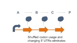 Regulation in Biosynthetic Pathways [upl. by Anoniw]