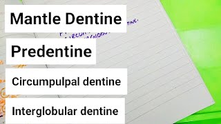 Mantle dentinePredentine Circumpulpal dentine interglobular dentine [upl. by Quinta]