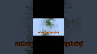 Jaki jest najstarszy blok w minecraft minecraft [upl. by Innavoig79]