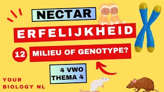 4 vwo  Erfelijkheid  12  Milieu of genotype [upl. by Dittman]