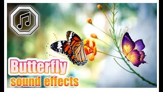 Beautiful Butterfly sound effect  Butterfly sounds [upl. by Dannel]