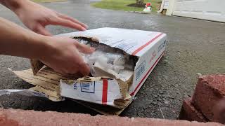 Arthropod Antics Unboxing Video not picture [upl. by Eladnar]