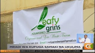 KILIMO BIASHARA  Mradi wa kufuga samaki na ukulima [upl. by Gratiana]