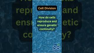 BF12 Lets test your knowledge How do cells reproduce and ensure genetic continuity biology [upl. by Steep]