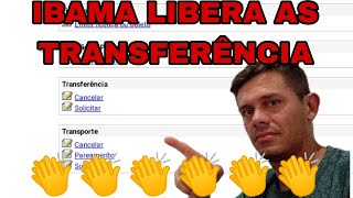 transferência liberadas no sispass ibama 👏👏🙏🙌 [upl. by Aicel]