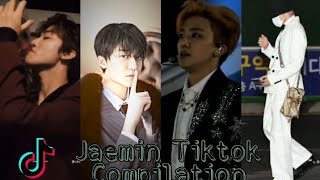 Jaemin Na Jaemin NCT 🐰 Tiktok Compilation [upl. by Odelet]