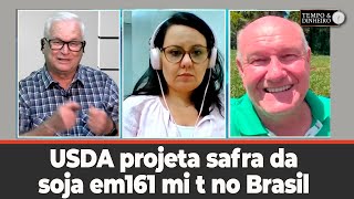 USDA projeta safra da soja em 161 mi t no Brasil [upl. by Selia415]