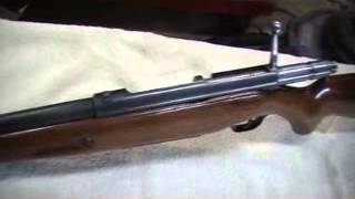 Westernfield 20ga bolt action shotgun [upl. by Tomlin654]