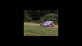 The Best of WRC Rally 2024  Crashes Action Maximum Attack [upl. by Bridie]