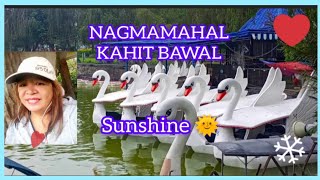 NAGMAMAHAL KAHIT BAWAL song by NAREX BERNAN cover song by SUNSHINE 🌞 [upl. by Gerk898]