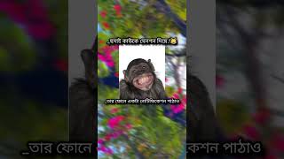 মেনশন দাও😁🤣 punjabisong song newsong music punjabi manichopra funny comedybadshah dhadkan [upl. by Ellora894]