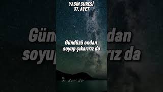 Kur’an Dinle Yasin Suresiquran islam ayet nature yıldızı islamic quran quranrecitation [upl. by Sirod]