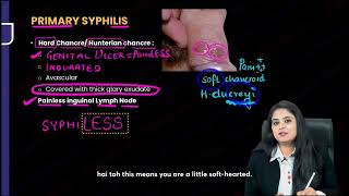 Microbiology Spirochetes [upl. by Rosabella]