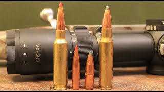 65 Creedmoor vs 308 Winchester Which One Should You Hunt With [upl. by Womack]