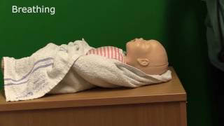 Neonatal Resuscitation  Demonstration [upl. by Oigaib707]