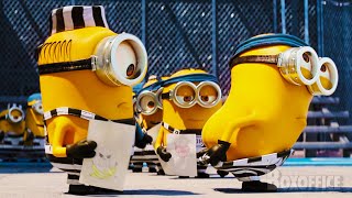 Despicable Me Funniest PRISON Scenes with Minions ⚡ 4K [upl. by Ebberta]